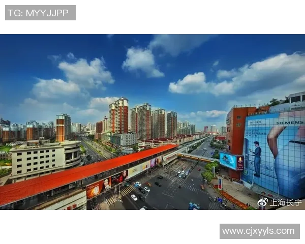 上海羽毛球队选拔赛特别报道聚焦转型之路与未来发展潜力分析